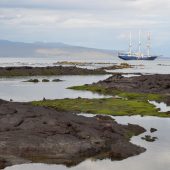  Galapagos